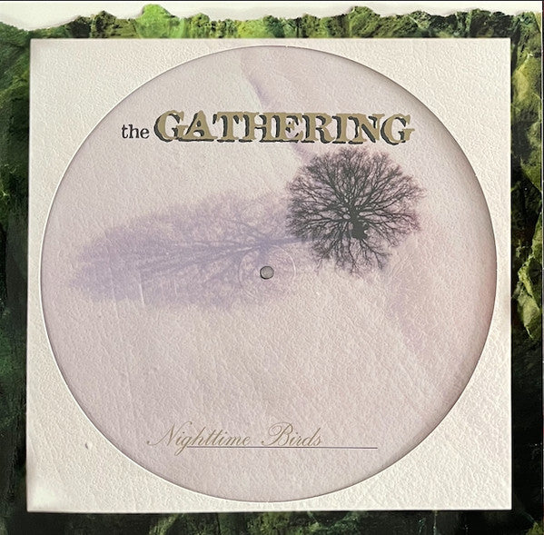 The Gathering – Nighttime Birds Vinyle, LP, Album, Édition limitée, Picture Disc, Réédition
