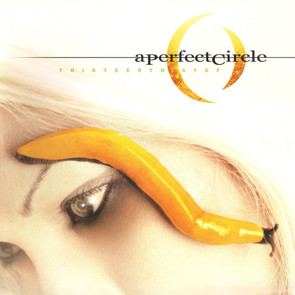 A Perfect Circle – Thirteenth Step (USAGÉ) 2 x Vinyle, LP, Album