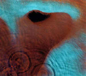 Pink Floyd – Meddle  CD, Album, Réédition, Remasterisé