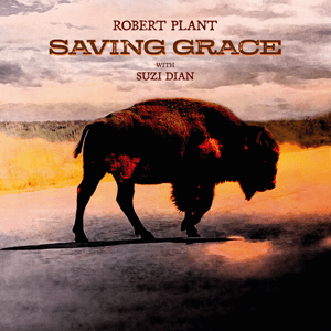 Robert Plant With Suzi Dian – Saving Grace (USAGÉ) Vinyle, LP, Album