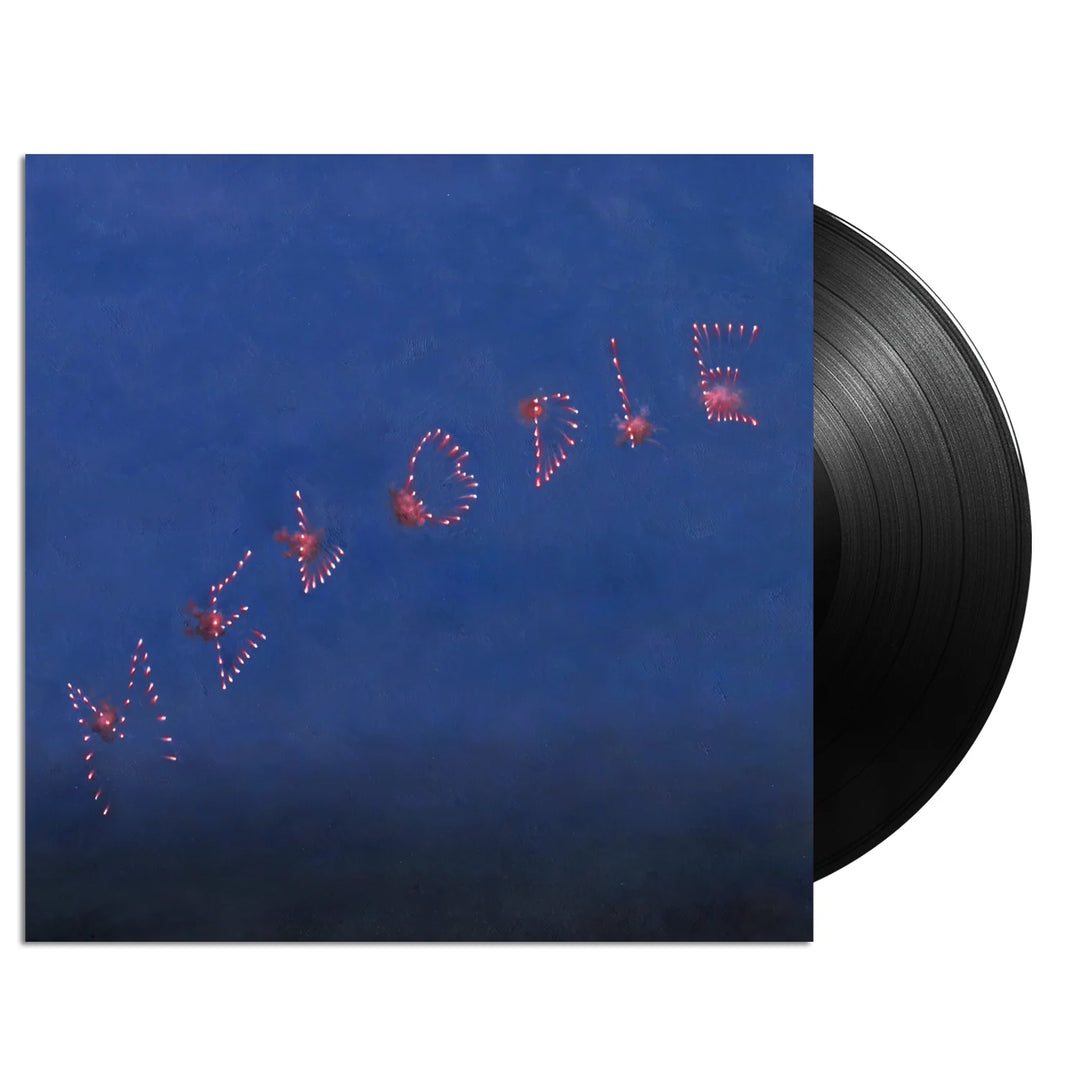 Slow Pulp - Melodie Vinyle, LP, Album