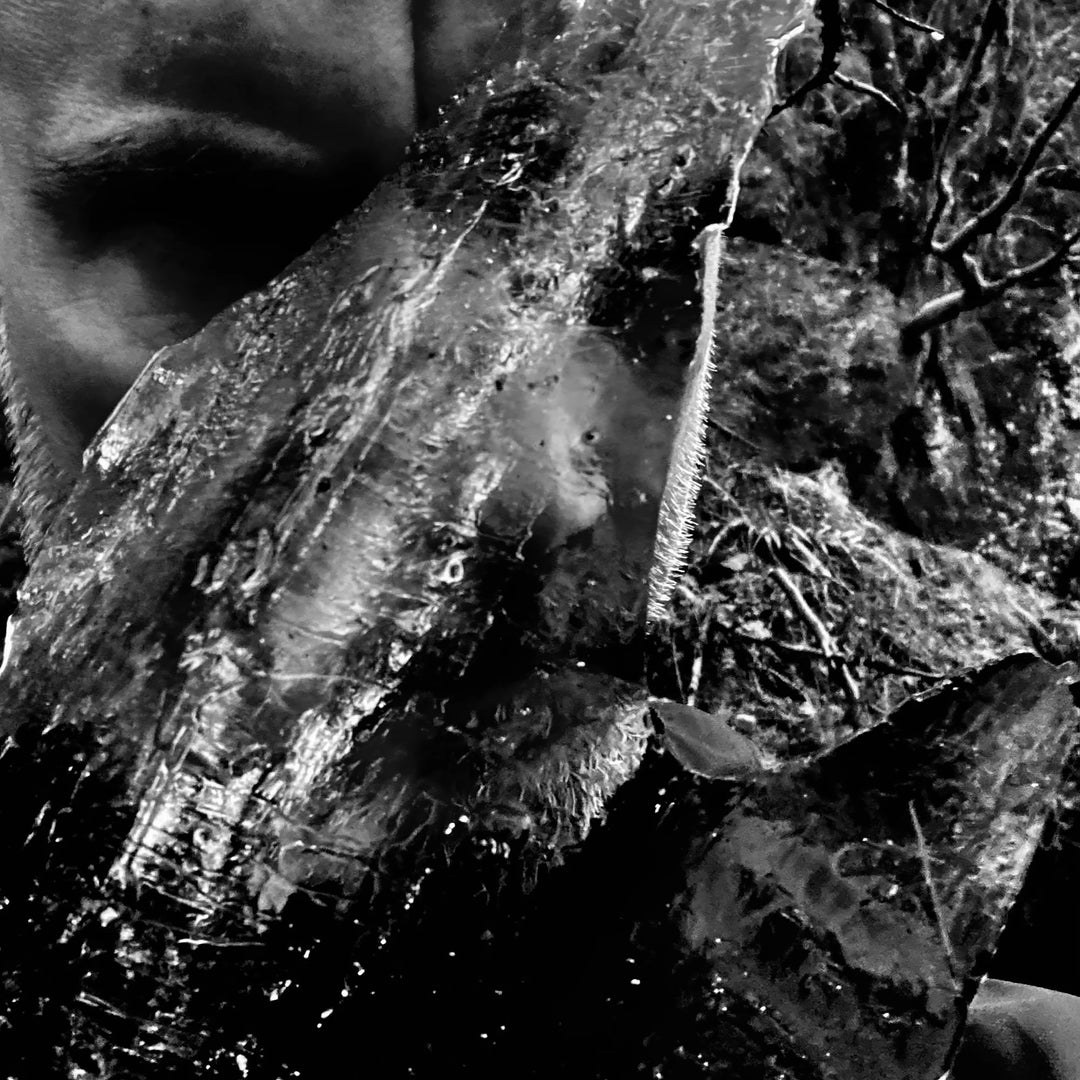 Taake – En Skog Av Nidstang CD, Album