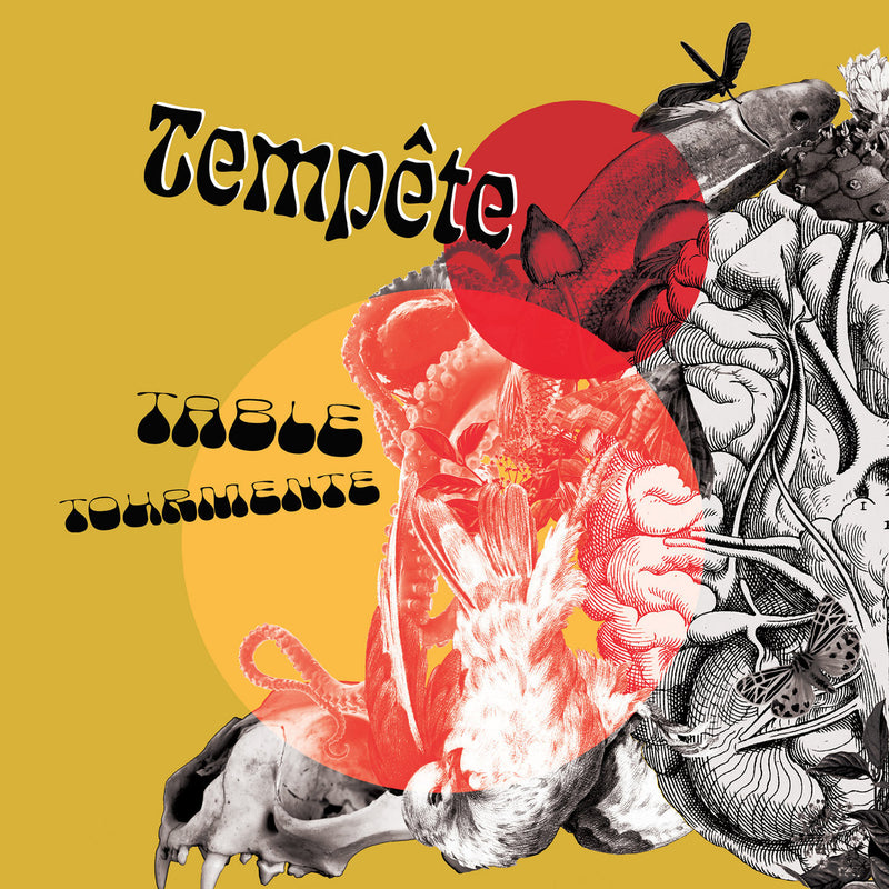 Tempête - Table Tourmente Vinyle, LP, Album