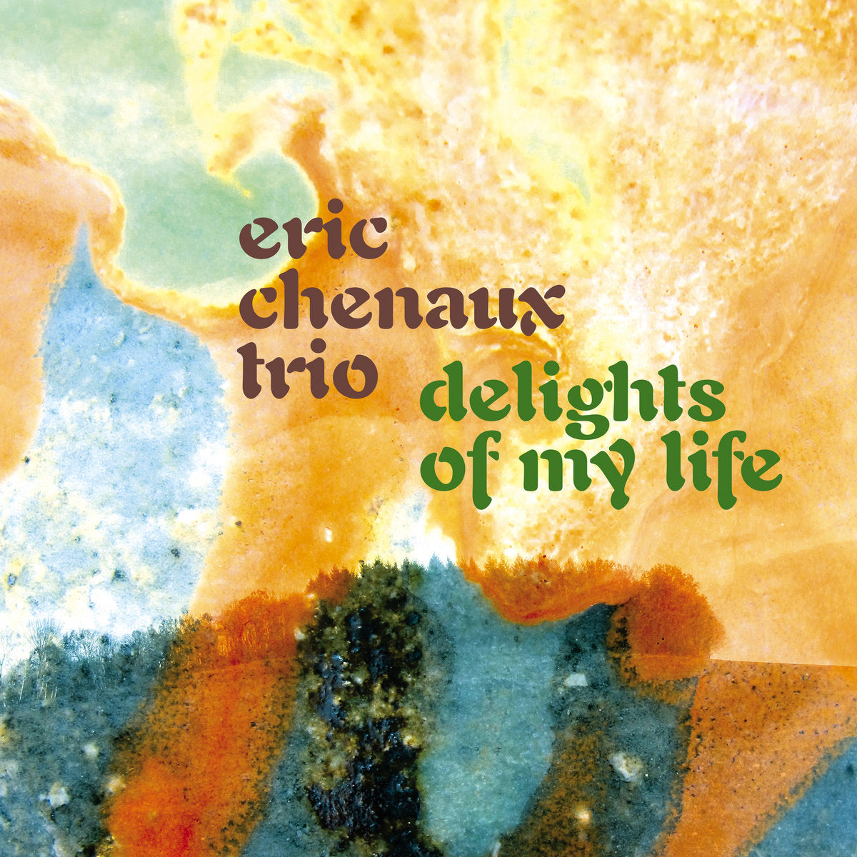 Eric Chenaux Trio – Delights Of My Life  Vinyle, LP, Album, 180g