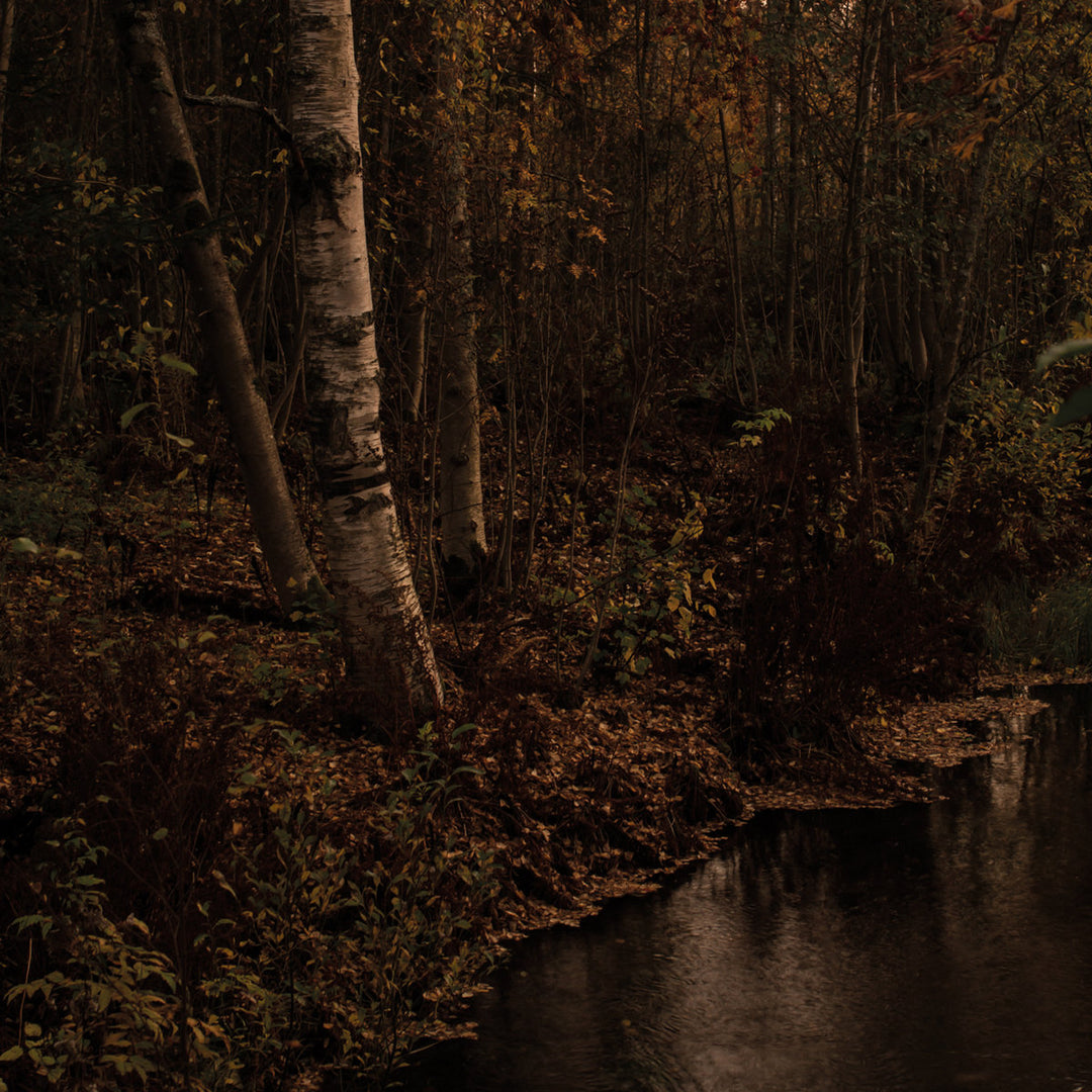 Aran - Pimeyttä Vasten Vinyle, LP, Album, Édition Limité, Noir