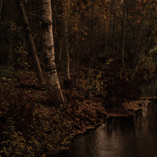 Aran - Pimeyttä Vasten Vinyle, LP, Album, Édition Limité, Noir