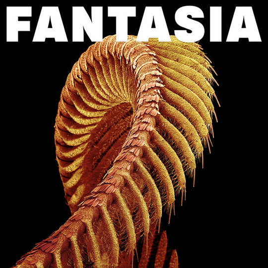 Slift – Fantasia 2 x Vinyle, LP, Édition Limitée, Loser Edition, Mustard