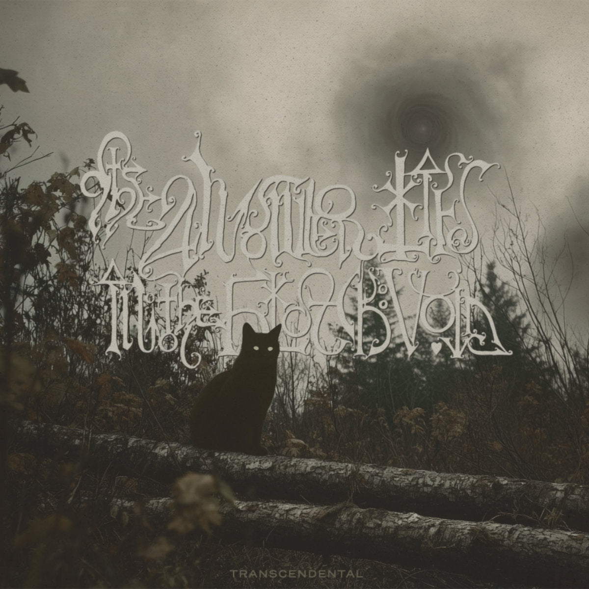 The Answer Lies In The Black Void – Transcendental Vinyle, LP, Album, Édition Limité, Ultra Clear and Black Smoke