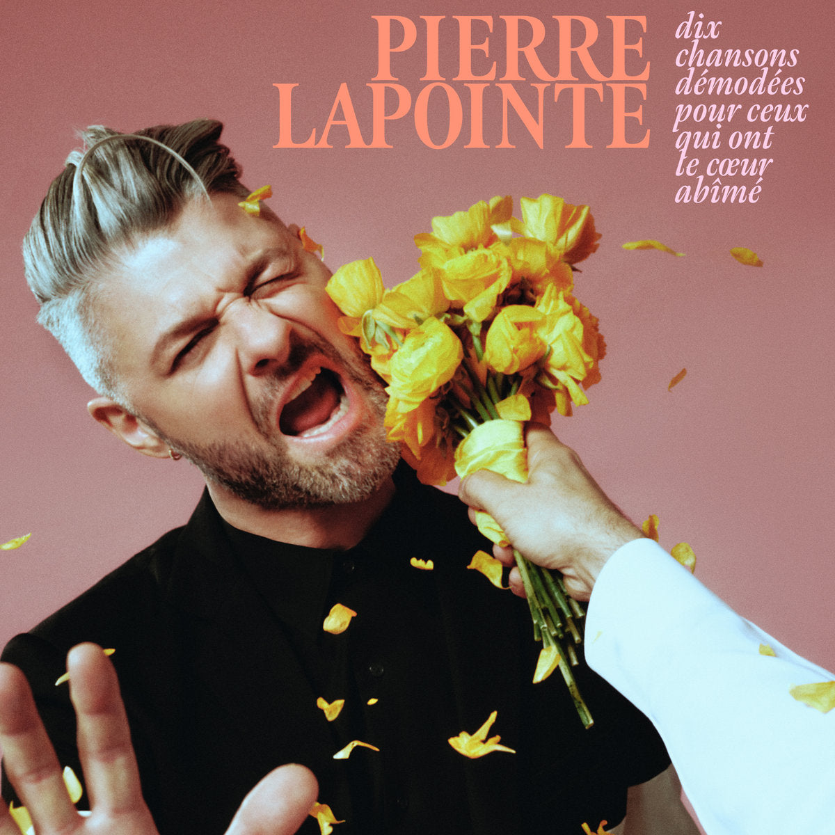 Pierre Lapointe – Dix Chansons Démodées Pour Ceux Qui Ont Le Cœur Abîmé  Vinyle, LP, Album**