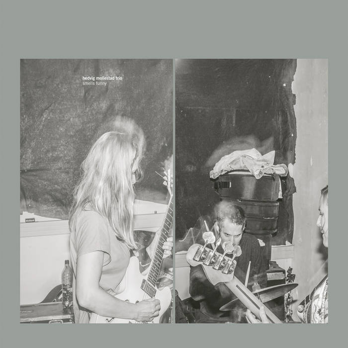 Hedvig Mollestad Trio – Smells Funny Vinyle, LP, Album