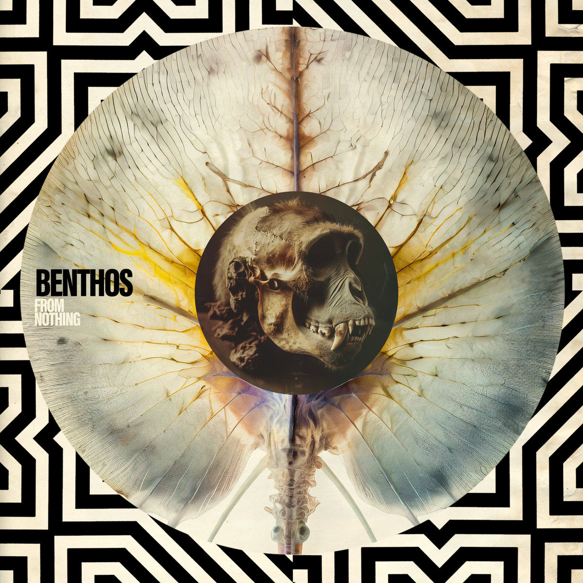Benthos – From Nothing  CD, Album