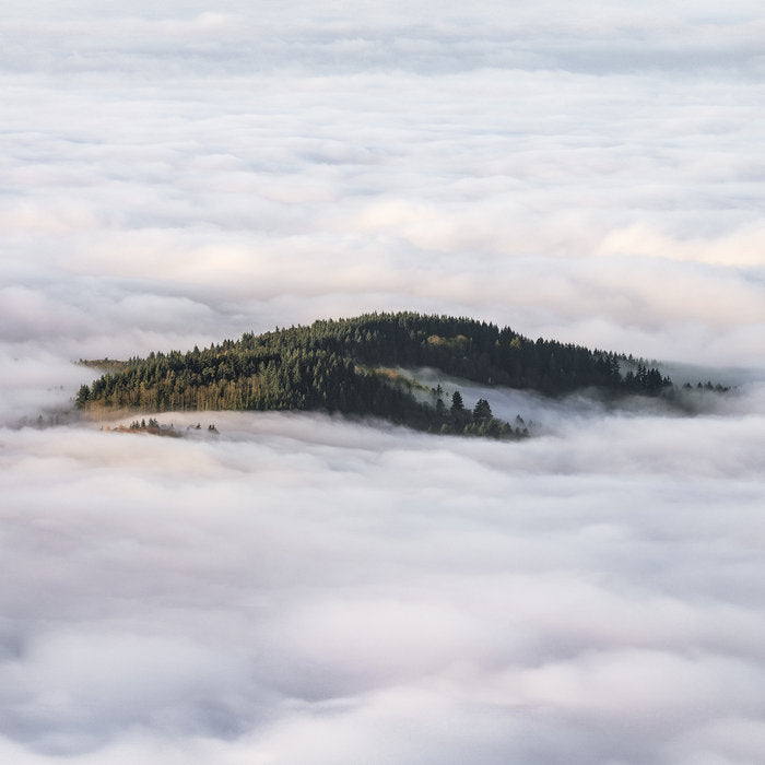 Coltaine – Forgotten Ways Vinyle, LP, Album