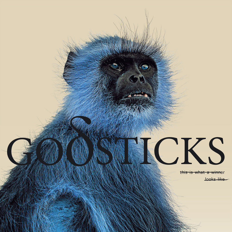 Godsticks – This Is What A Winner Looks Like  CD, Album