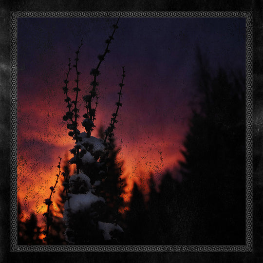 Blackbraid - Nocturnal Womb Vinyle, LP, 10", 33RPM, EP, Stéréo, Bloodlust Edition