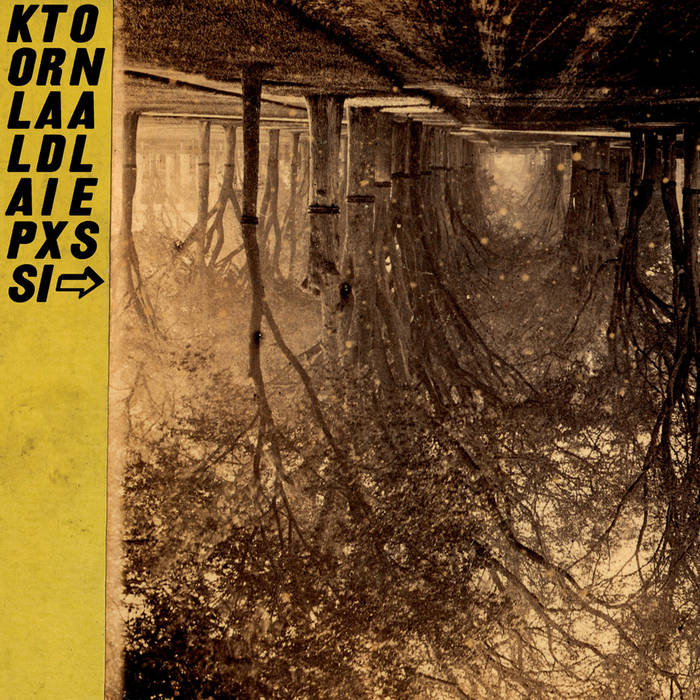 Thee Silver Mt. Zion Memorial Orchestra – Kollaps Tradixionales  2 x Vinyle, 10", Album