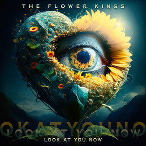 The Flower Kings – Look At You Now 2 x Vinyle, LP, Album, Stéréo, 180g