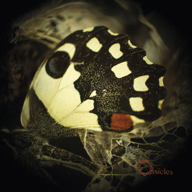 Ossicles – Music For Wastelands CD, Album