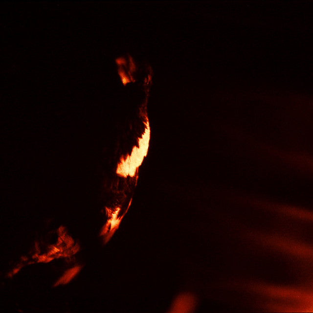 Skepticism – Stormcrowfleet 2 x Vinyle, LP, Réédition, Remasterisé, 30eme Anniversaires