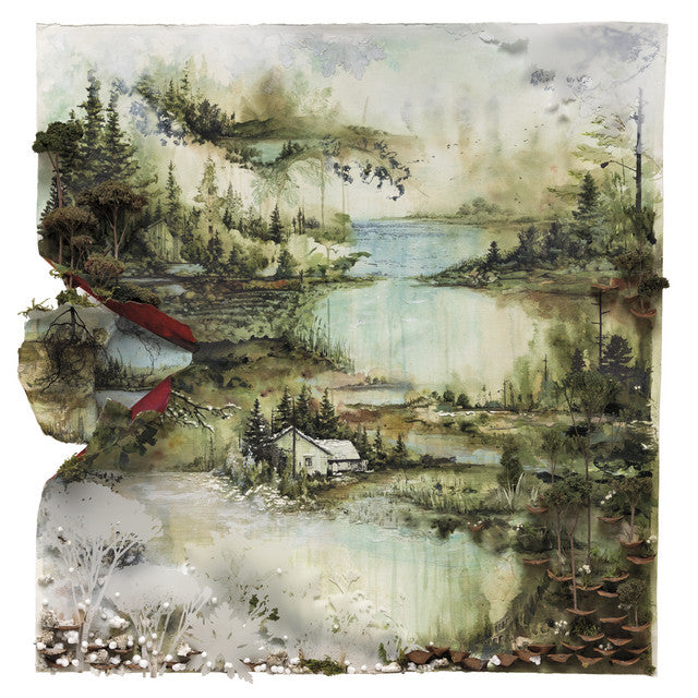 Bon Iver – Bon Iver, Bon Iver  Vinyle, LP, Album