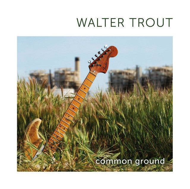 Walter Trout – Common Ground, Vinyle, LP, Album, Édition limitée, Numéroté, Réédition, Vert translucide