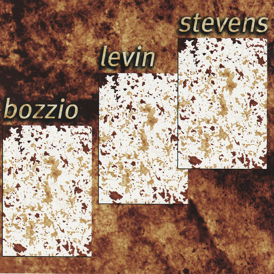 Bozzio Levin Stevens – Situation Dangerous