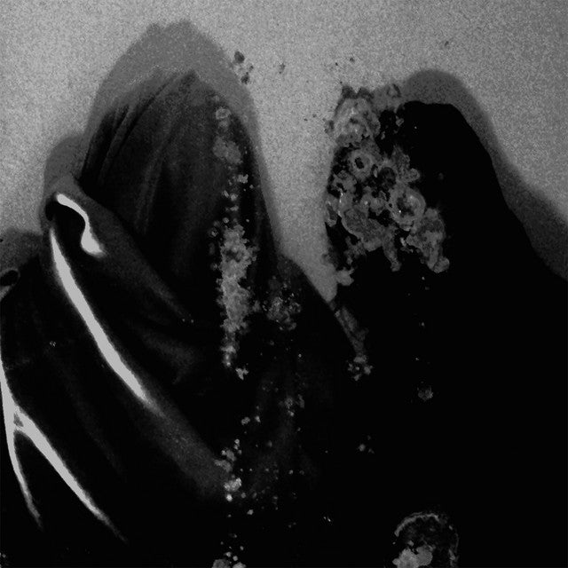 Fluisteraars – Luwte Vinyle, LP, Album