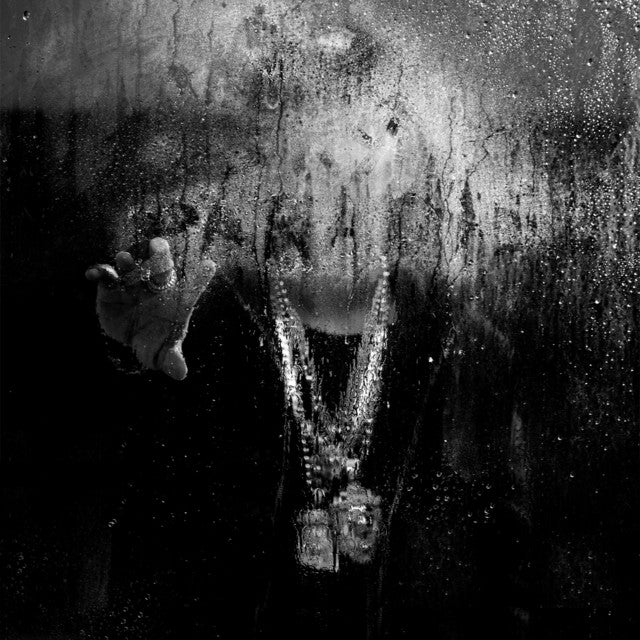 Big Sean - Dark Sky Paradise 2 x Vinyle, LP, Album