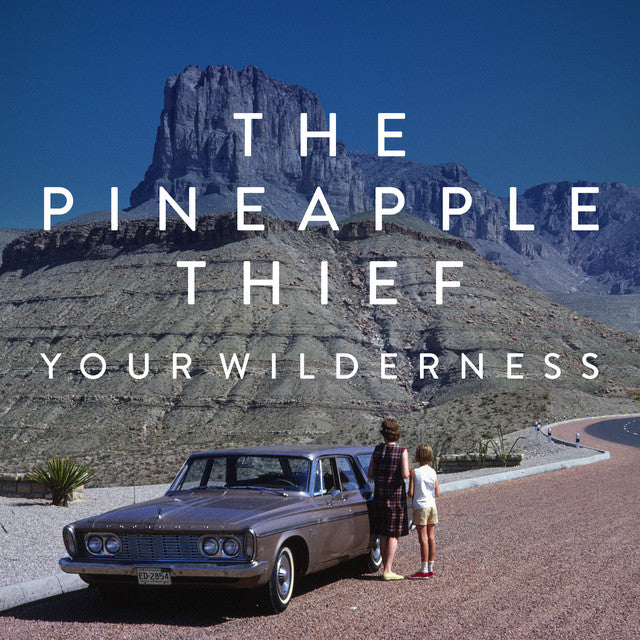Pineapple Thief - Your Wilderness Vinyle, LP, Album