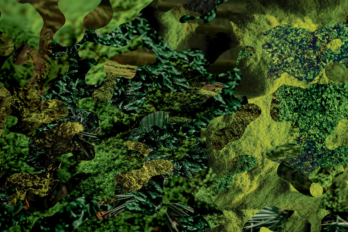 Pierre Lapointe - La forêt des mal-aimés (20 ans) 5 x Vinyle, LP