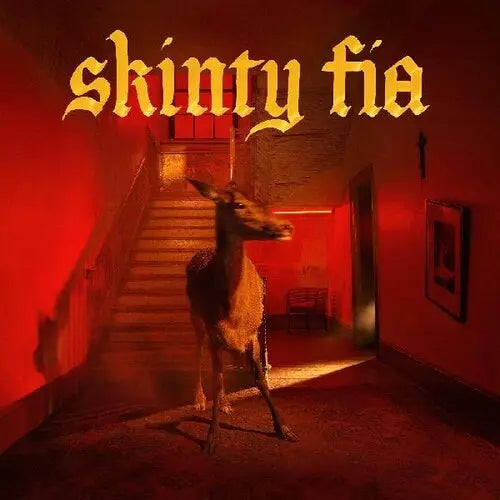 Fontaines D.C. – Skinty Fia Vinyle, LP, Album