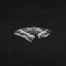 Kendrick Lamar – To Pimp A Butterfly (10th Anniversary), 2 x Vinyl, LP, Album, Limited Edition, Reissue, Metallic Blend