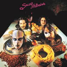 Secos &amp; Molhados - Secos &amp; Molhados  Vinyle, LP, Album, Réédition, 180g