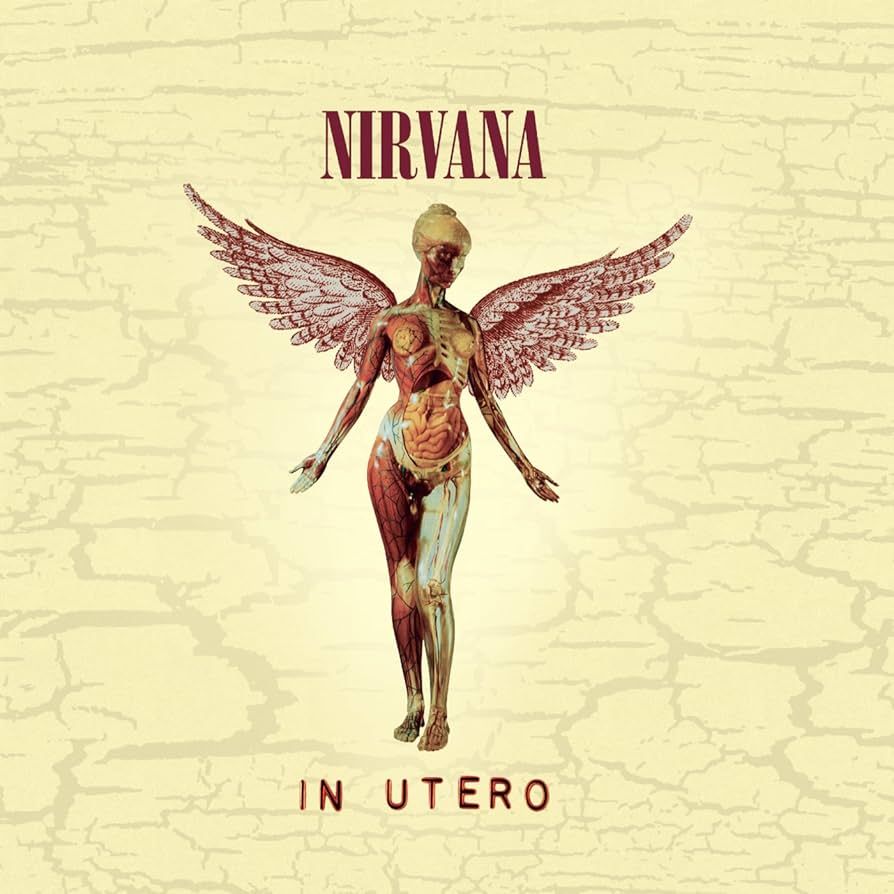 Nirvana – In Utero (USAGÉ)  Vinyle, LP, Album, Réédition, 180g, Gatefold +  Vinyle, 10", Compilation, 30e anniversaire