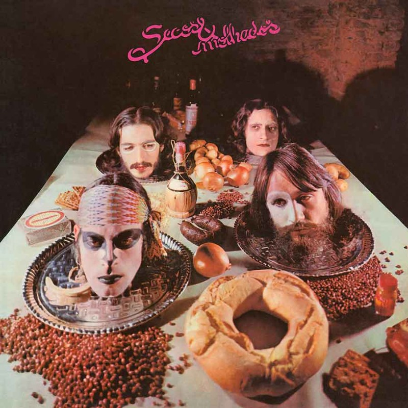 Secos &amp; Molhados - Secos &amp; Molhados Vinyle, LP, Album