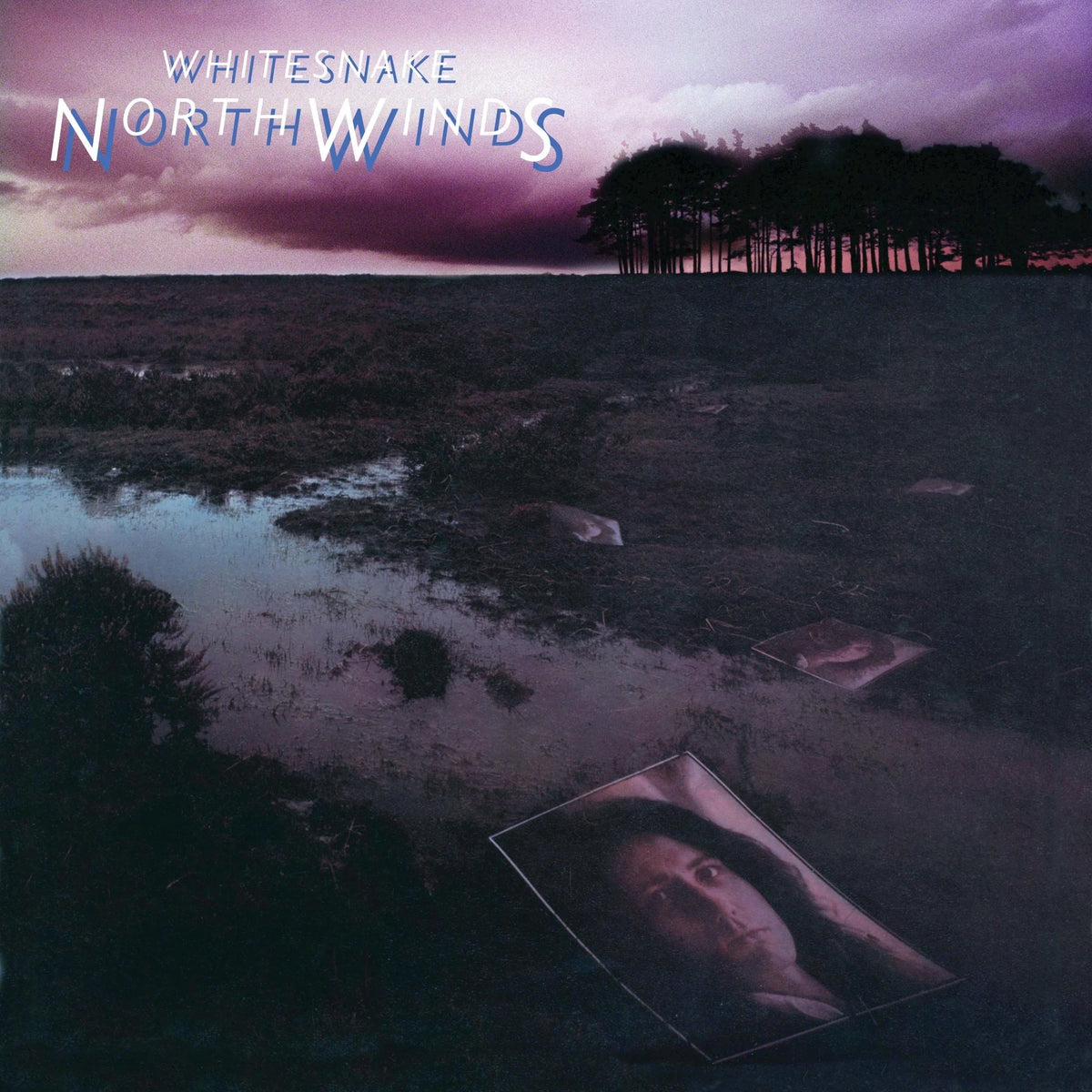 Whitesnake – North Winds Vinyle, LP, Album, Réédition, Remasterisé, Black Ice