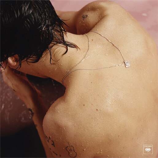 Harry Styles – Harry Styles  Vinyle, LP, Album