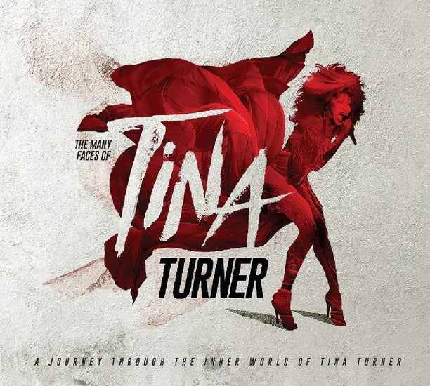 Tina Turner & Artistes Divers - The Many Faces Of Tina Turner  2 x Vinyle, LP, Compilation