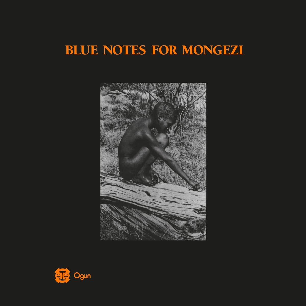 Blue Notes – Blue Notes For Mongezi  2 x Vinyle, LP, Album, Réédition