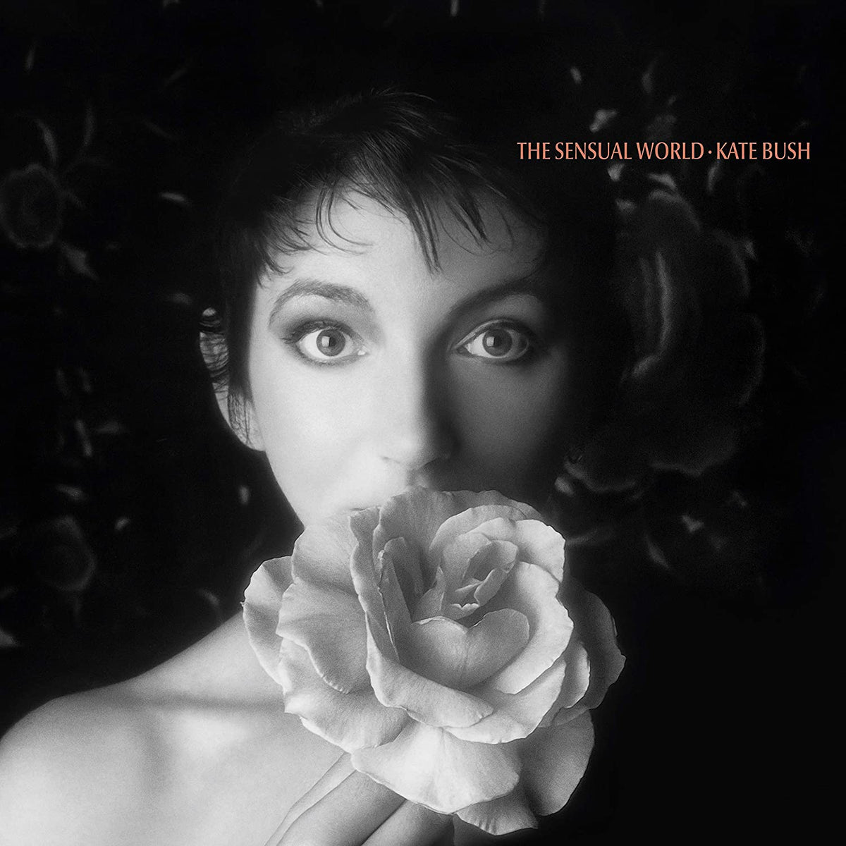 Kate Bush ‎– The Sensual World  Vinyle, LP, Album, Réédition, Remasterisé, Stéréo, 180 g