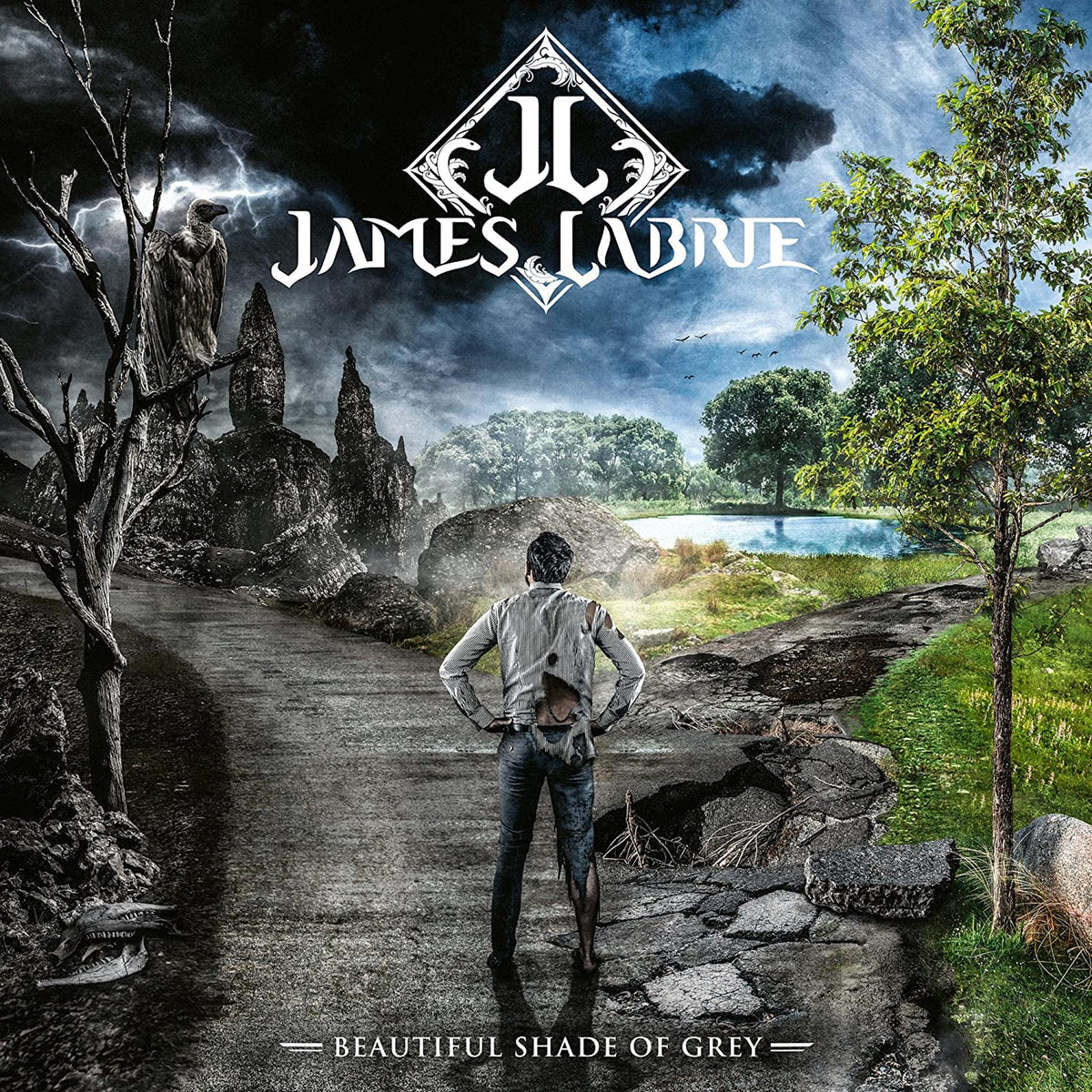 James LaBrie – Beautiful Shade Of Grey  Vinyle, LP, Album, 180g + CD