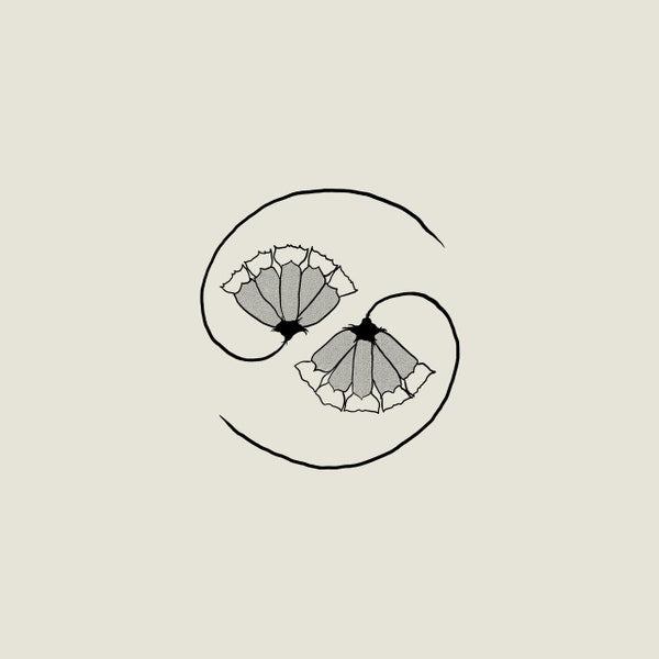 Godspeed You! Black Emperor ‎– G_d’s Pee AT STATE&