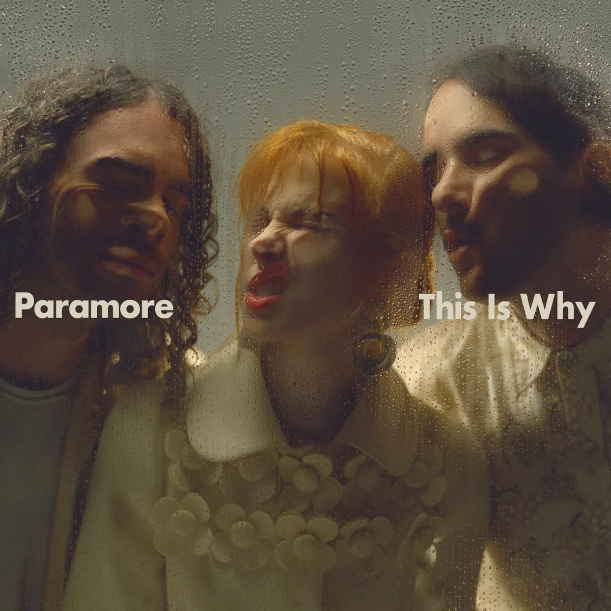 Paramore – This Is Why Vinyle, LP, Album, Edition Limitée, Clear