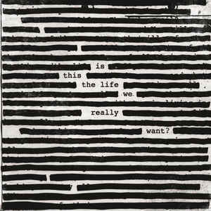 Roger Waters ‎– Is This The Life We Really Want?  2 × Vinyle, LP, Album