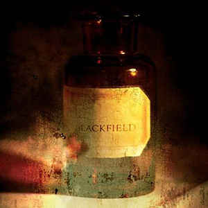 Blackfield ‎– Blackfield  Vinyle, LP, Album, Réédition, Édition Limitée, 20eme Anniversaire, Orange Marble