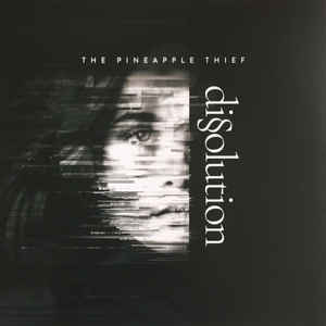 The Pineapple Thief ‎– Dissolution  Vinyle, LP, Album, 180g
