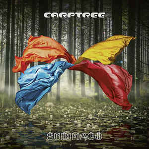 Carptree ‎– Subimago  Vinyle, LP, Album, Stéréo