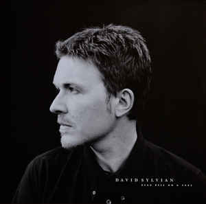 David Sylvian ‎– Dead Bees On A Cake 2 × Vinyle, LP, Album, Réédition