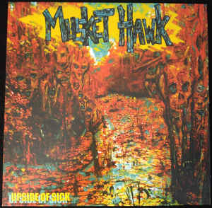 Musket Hawk ‎– Upside of Sick  Vinyle, LP, 45 RPM, Album