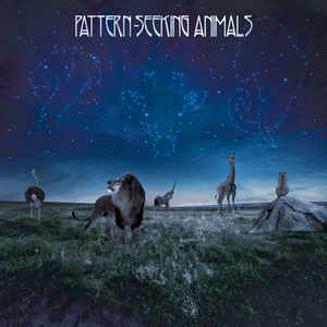 Pattern-Seeking Animals ‎– Pattern-Seeking Animals  2 × vinyle, LP, album, stéréo, 180 grammes + CD, album, stéréo