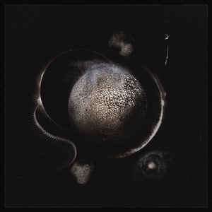 Enthroned ‎– Cold Black Suns  Vinyle, LP, Album